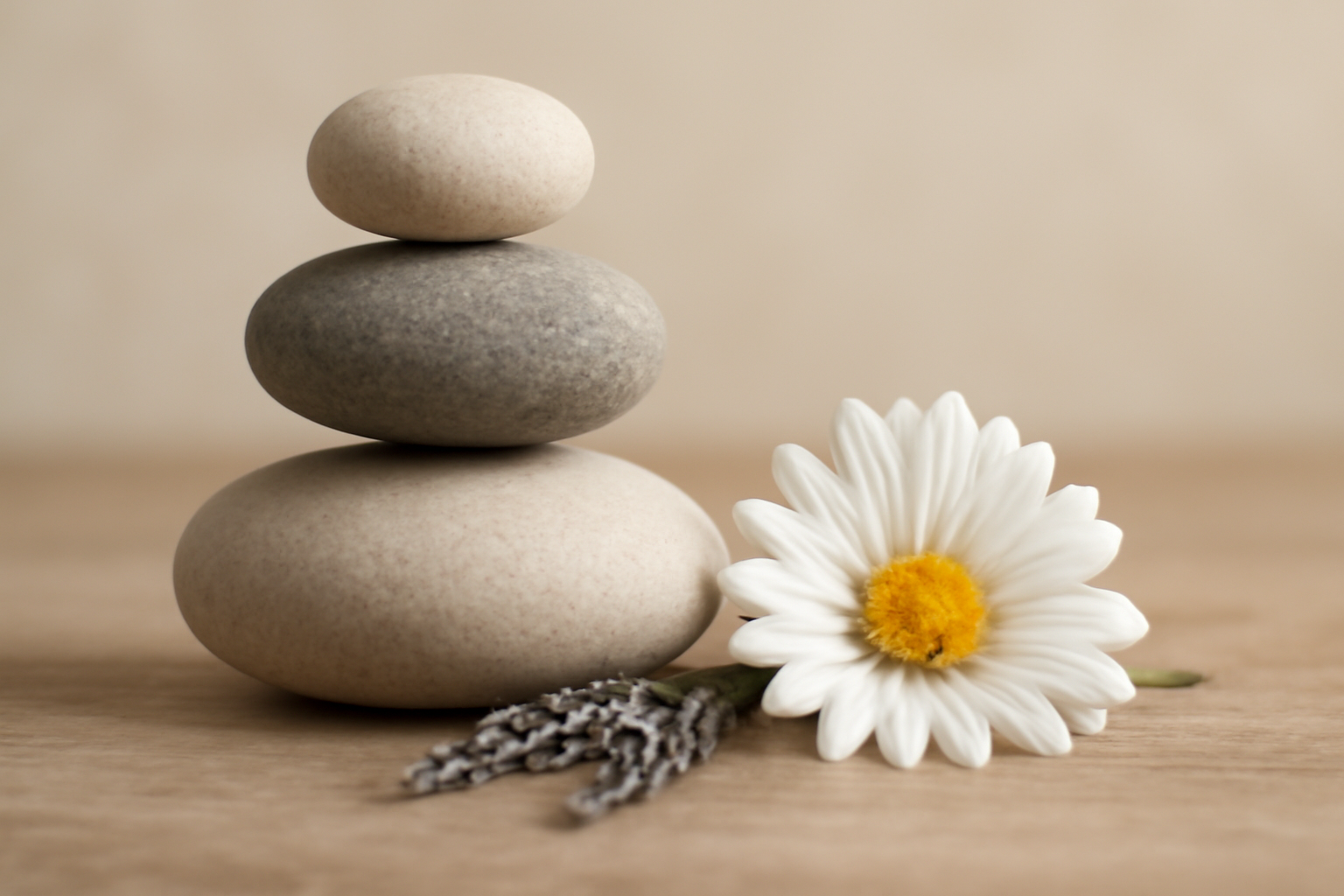 Therapist guides grounding; blog post on evidence-based therapies for dissociation.